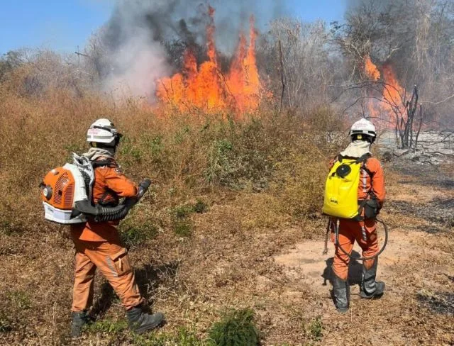 estrada fogo queimada bombeiros