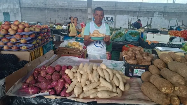 Feirinha da Estação Nova