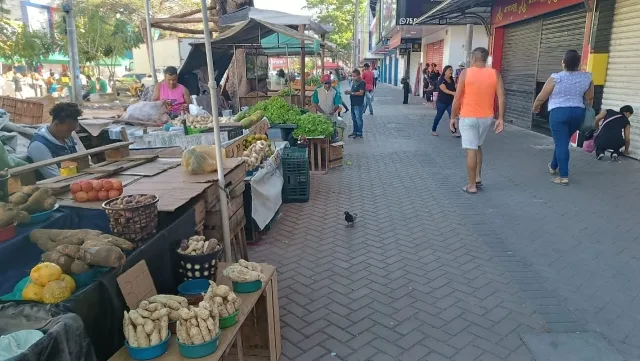 Feira Livre da Marechal Deodoro - feirantes