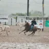 6ª Etapa do Campeonato Baiano de Team Penning será realizada durante a Expofeira