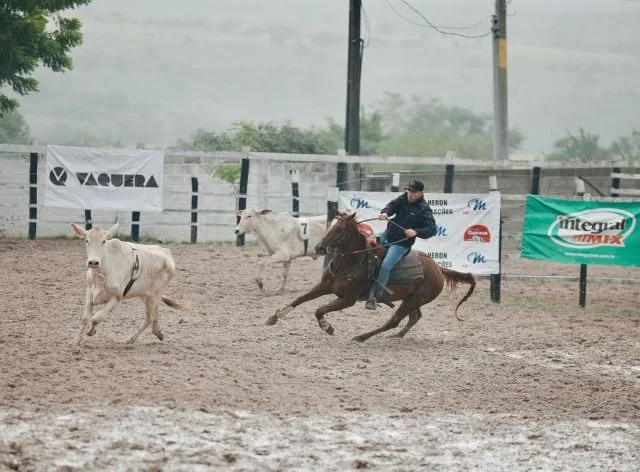 6ª Etapa do Campeonato Baiano de Team Penning será realizada durante a Expofeira