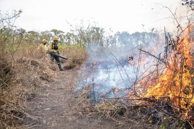 Polícia Federal intensifica investigações sobre incêndios
