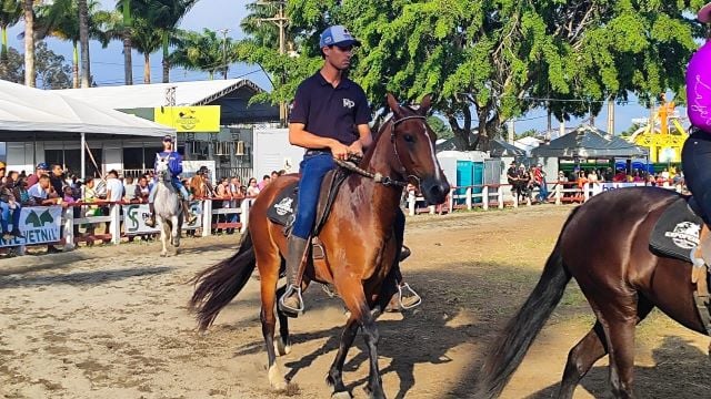 cavalo Expofeira