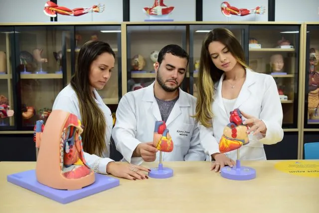 Estudante de Medicina da Unex em laboratórios com peças do corpo humano em 3D]