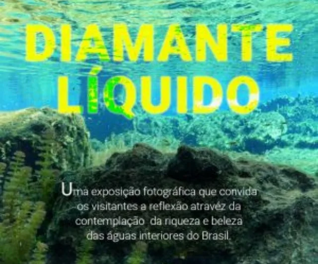 Exposição Diamante Líquido