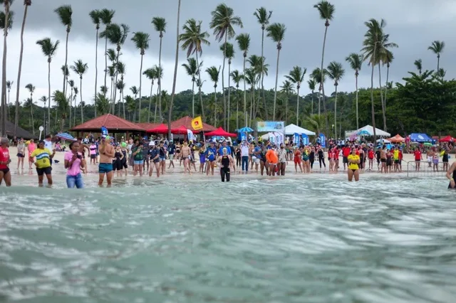 Campeonato de Natação