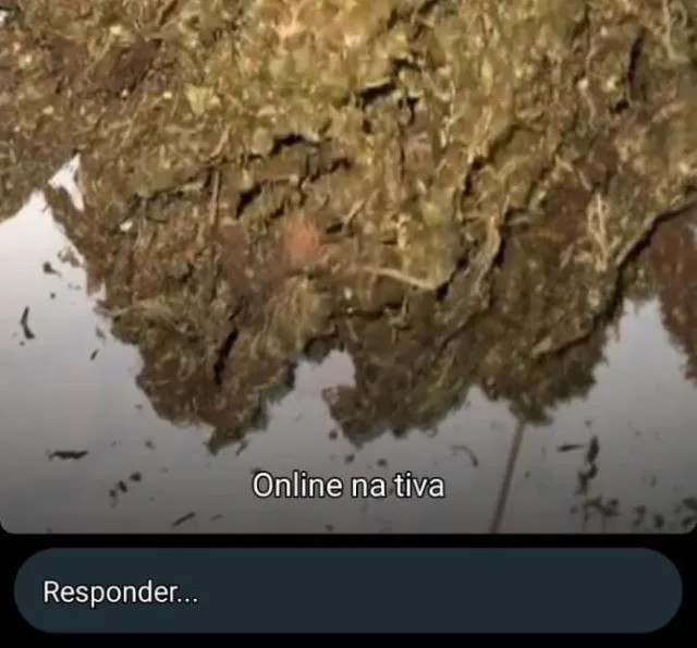 aplicativo de mensagem droga1