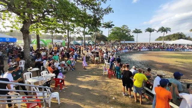 Expofeira 2024