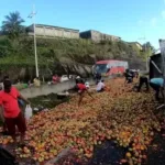 Caminhão carregado de frutas vira na BR-324