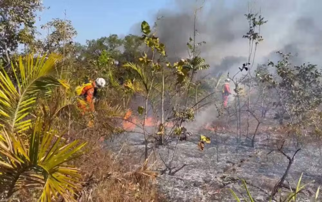 queimadas na Bahia