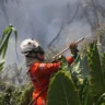 Bombeiros reforçam combate e debelam 422 incêndios florestais na Bahia