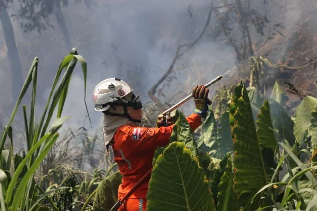 Bombeiros reforçam combate e debelam 422 incêndios florestais na Bahia