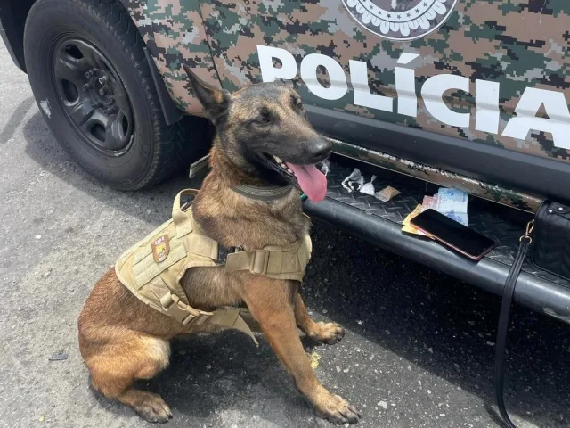 apreensão de drogas na região da rodoviária