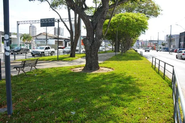 Canteiro Central da Avenida Getúlio Vargas