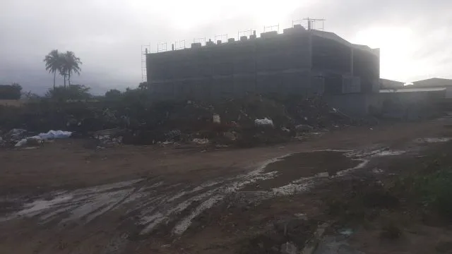 rua palmeira dos índios