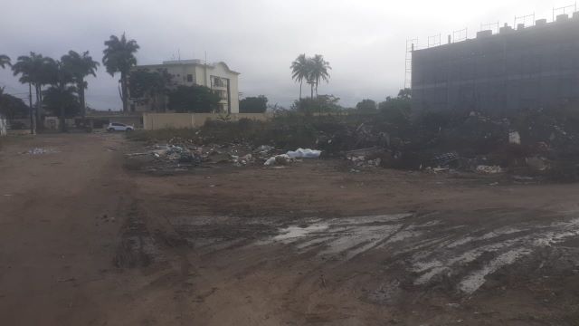 rua palmeira dos índios