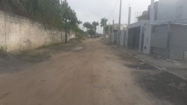 rua palmeira dos índios