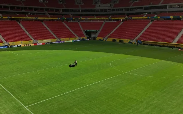 gramado - campo de futebol