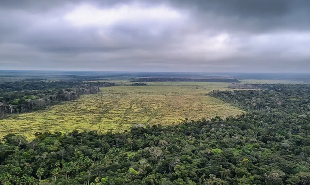 Amazônia