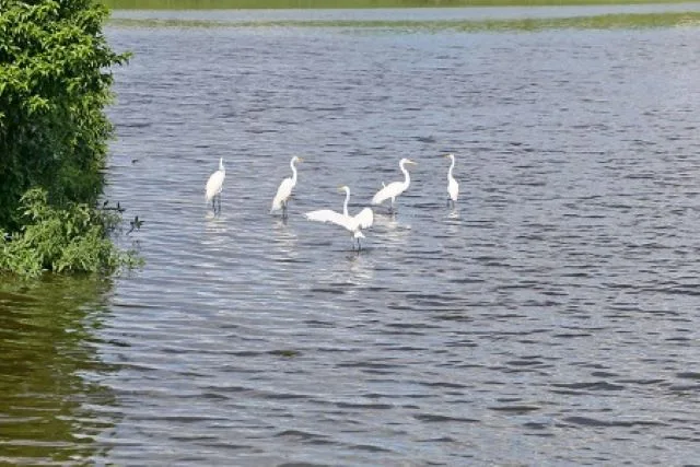 Lagoa Grande em Feira de Santana