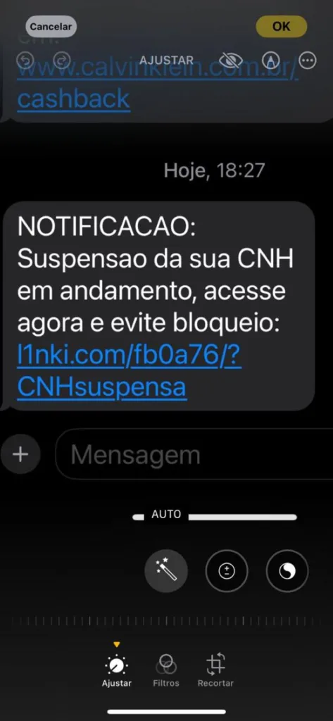 falsas mensagens de suspensão de CNH alerta de golpe (1)