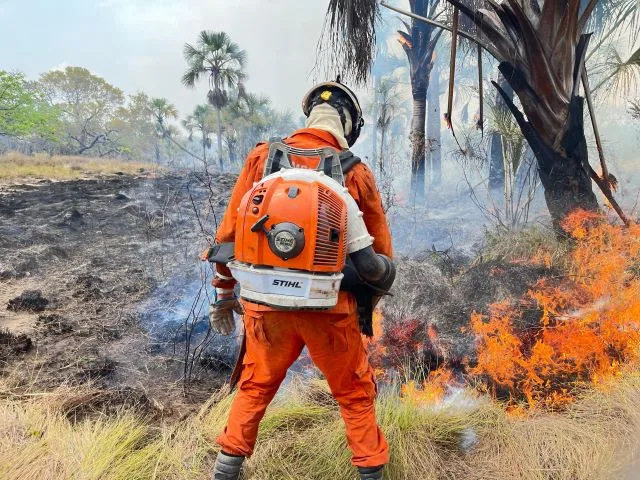 operação corpo de bombeiros2