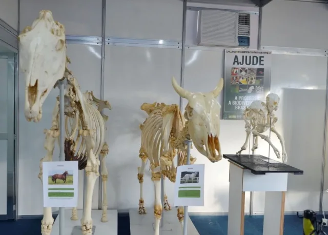 Fenagro - Museu da Anatomia Animal -