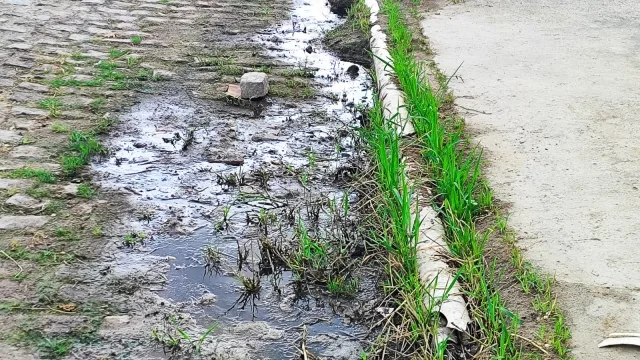 Esgoto a céu aberto na Mangabeira