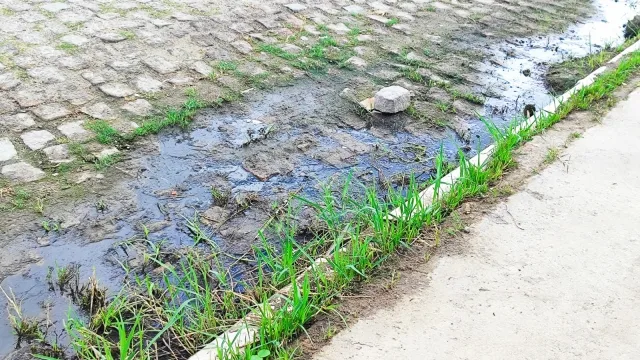 Esgoto a céu aberto na Mangabeira