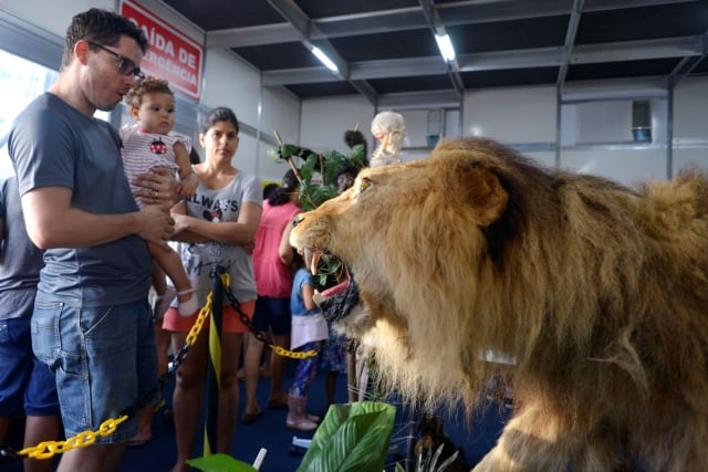 Fenagro - Museu da Anatomia Animal -