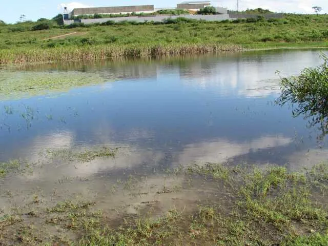 Lagoa do Subaé, Subaé