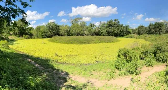 Lagoa do Tanque Grande, Ipuaçu