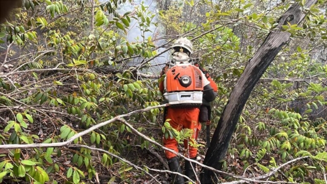 Corpo de Bombeiros