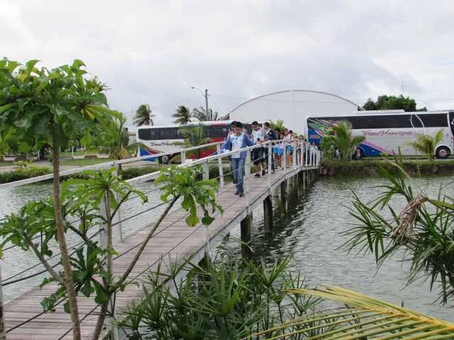 Lagoa Campestre, Alto do Papagaio