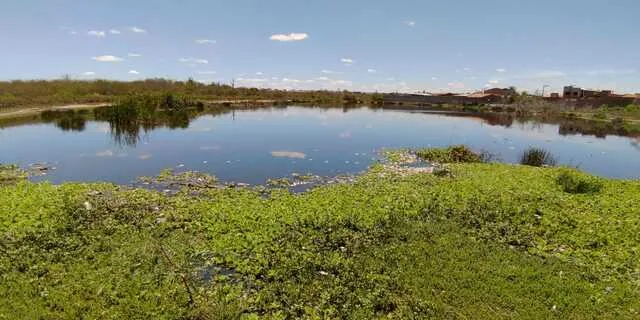 Lagoa da Pedreira, Conceição II