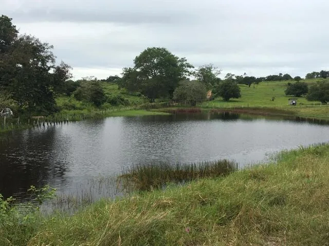 Lagoa do Arcanjo, Bonfim de Feira