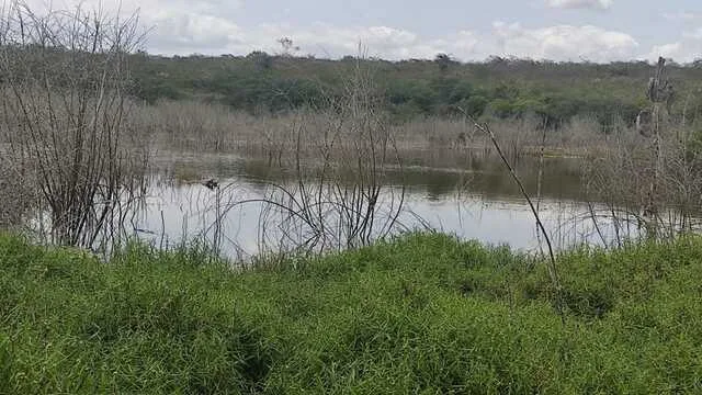 Lagoa do Fausto, Alto do Rosário