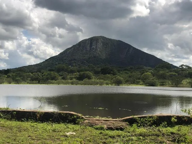 Lagoa da Agulha, Jaguara