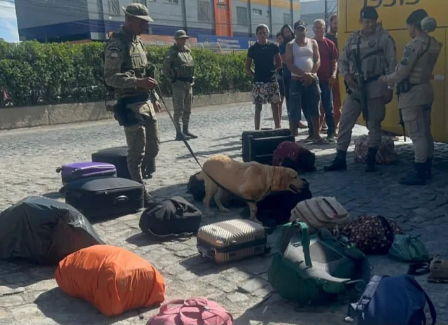 Operação desarticula envio de drogas