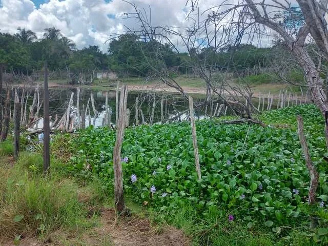 Lagoa de S. Antônio, S. A. dos Prazeres.