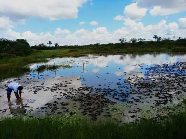 Lagoa do Poções, Humildes