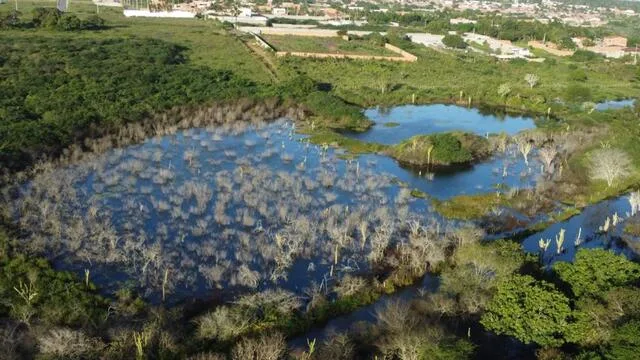 Lagoa Real, Novo Horizonte