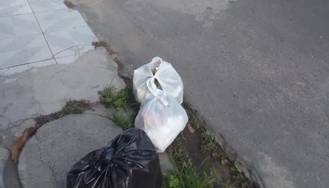 sem coleta de lixo em feira de santana