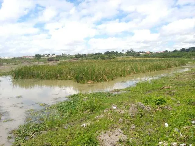 Lagoa João Pequeno, S. A. dos Prazeres