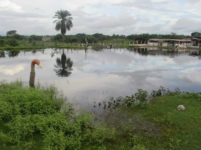 Lagoa das Arengas, E. da Terra Dura