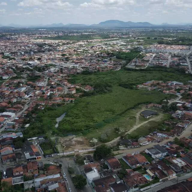 Lagoa do Chico Maia, Mangabeira