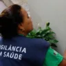 Vigilância Sanitária