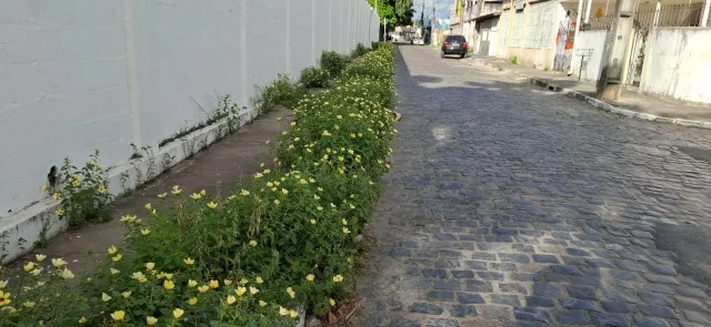 Buraco na Rua Brito - Cidade Nova