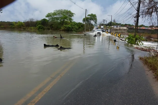 Pontos de Alagamentos