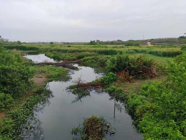 LAGOA DA BERRECA